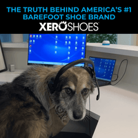The Truth About America’s #1 Barefoot Shoe Brand