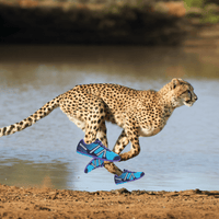 Spot Xero Shoes During Your Next Safari!