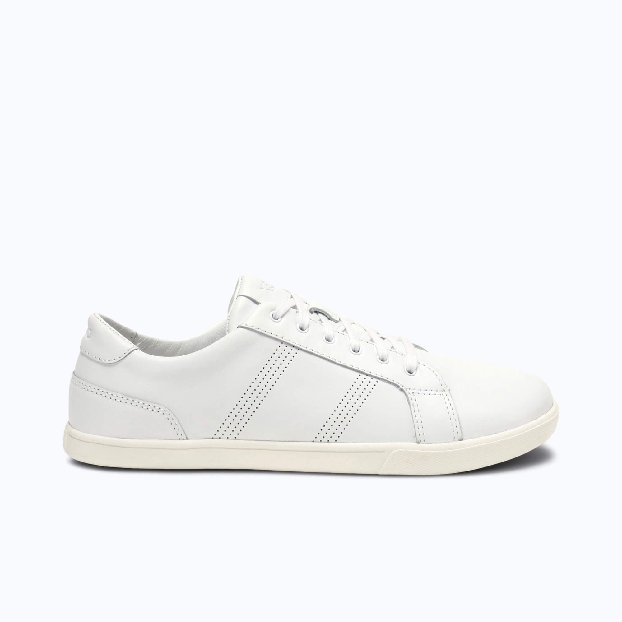 Shoe Image