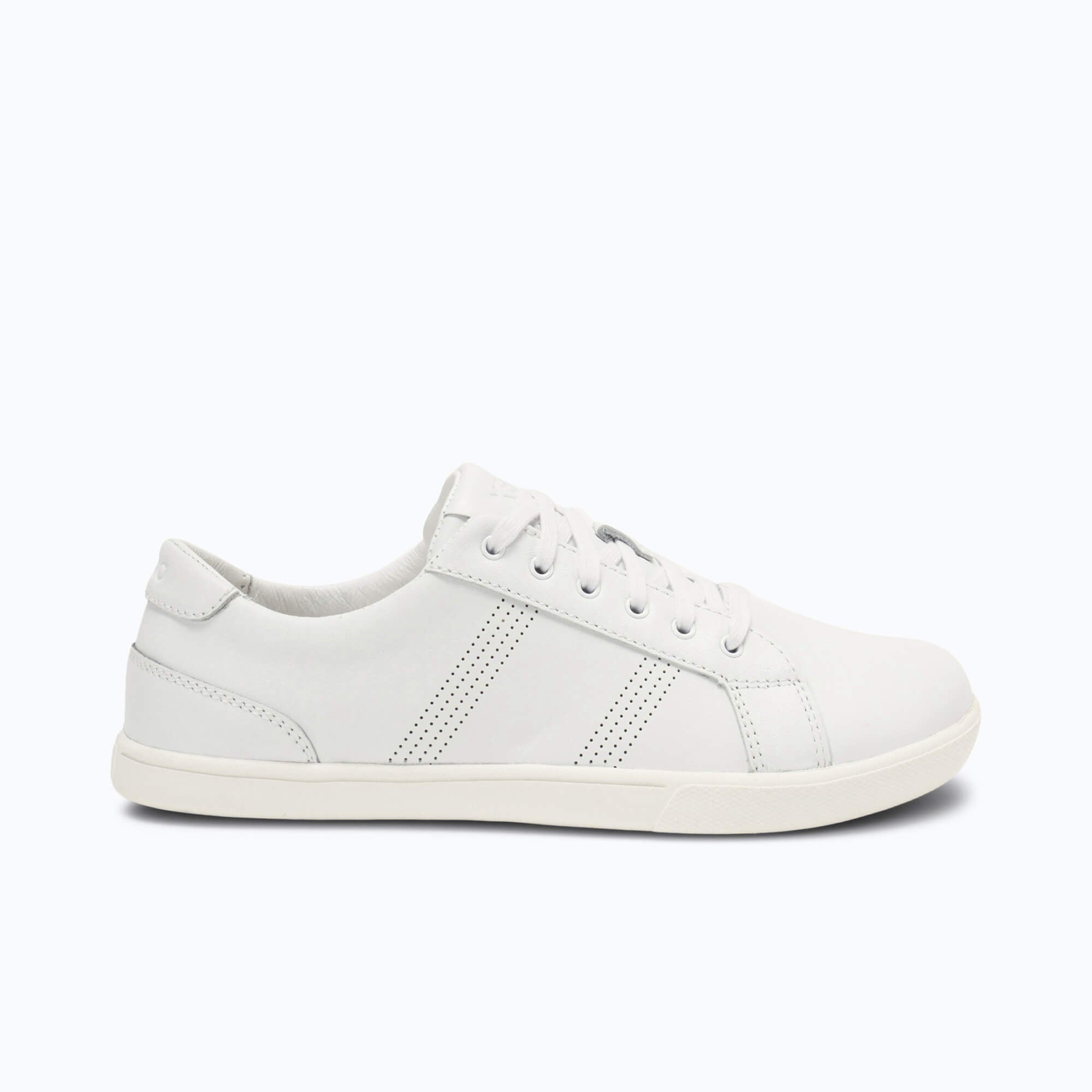 Shoe Image