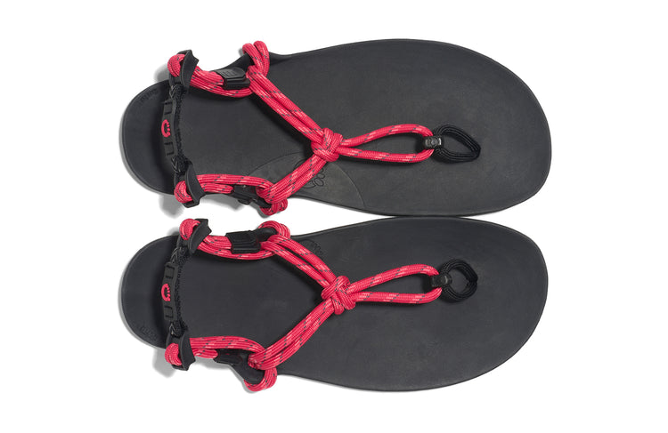 GEN-RASP-W_Genesis_Raspberry_Top-Pair_0003_WEB