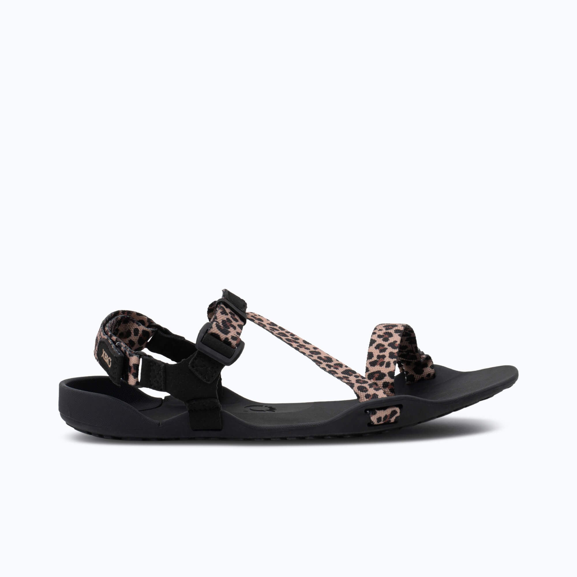 Shoe Image
