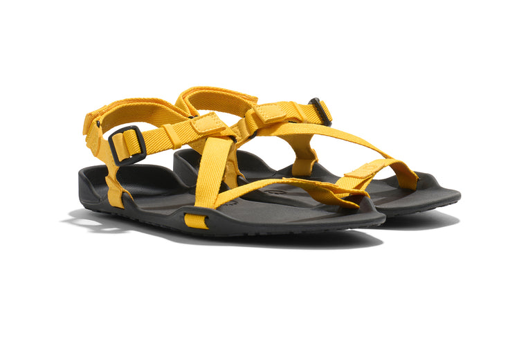 ZKW-SCYW_Z-Trek_Spectra-Yellow_Angle-Pair_3365_WEB
