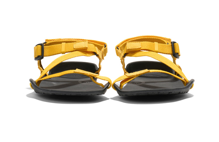 ZKW-SCYW_Z-Trek_Spectra-Yellow_Front-Pair_3366_WEB