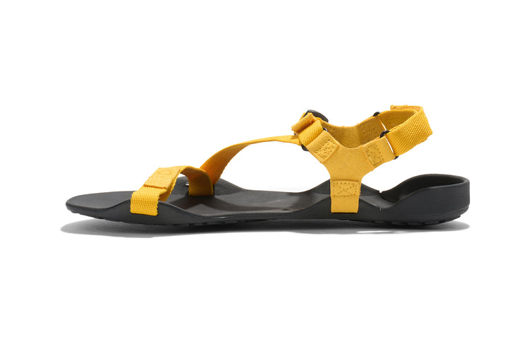 ZKW-SCYW_Z-Trek_Spectra-Yellow_Left-Side_2339_WEB