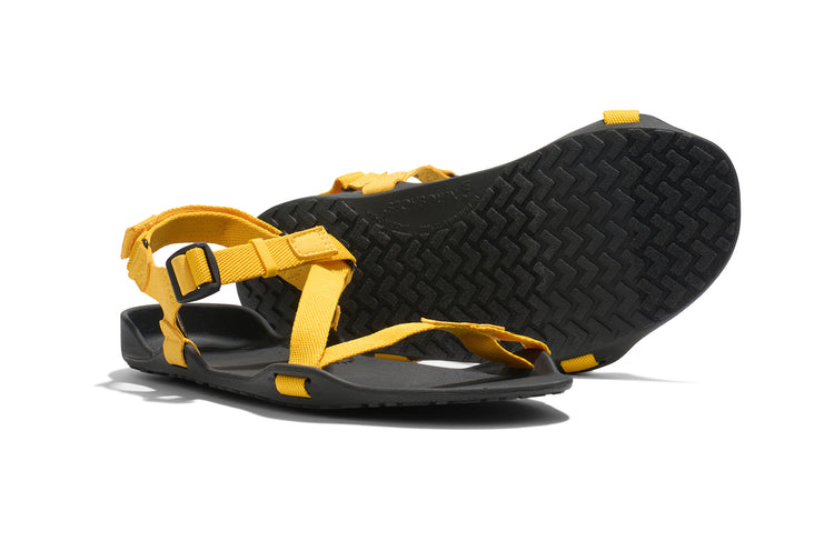 ZKW-SCYW_Z-Trek_Spectra-Yellow_Marketing-Pair_4391_WEB