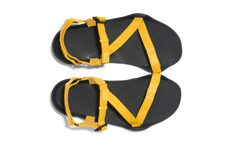 ZKW-SCYW_Z-Trek_Spectra-Yellow_Top-Pair_0013_WEB