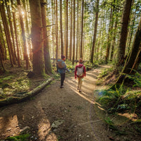 Hiking Boots vs. Hiking Shoes: How to Choose the Right Trail Footwear
