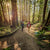Hikers wearing Xero Shoes barefoot hiking footwear