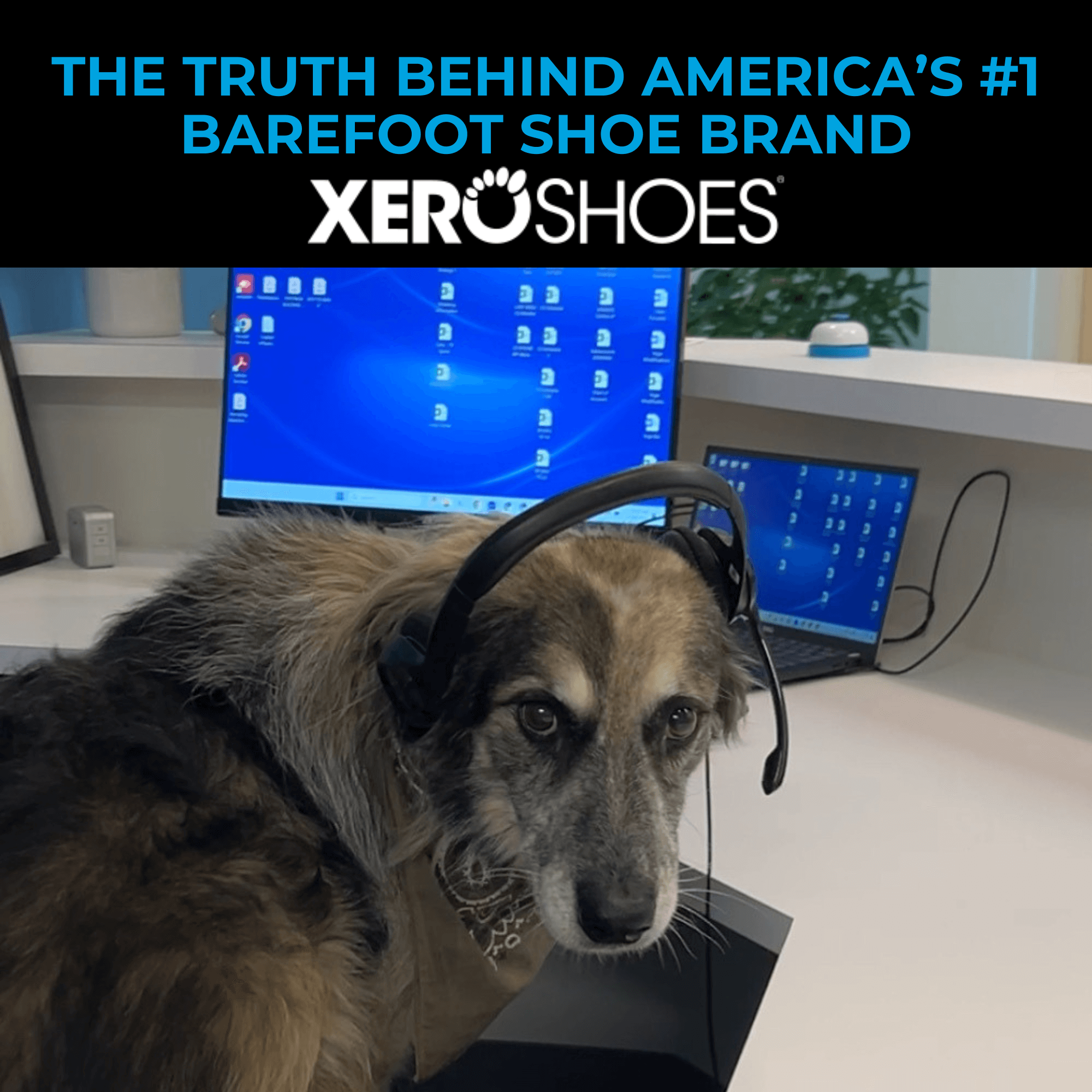 The Truth About America’s #1 Barefoot Shoe Brand