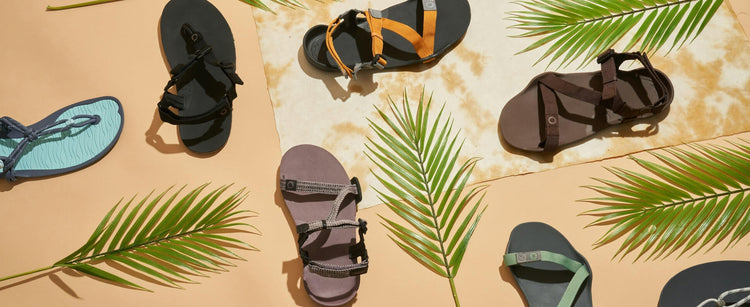 Best Xero Shoes Sandals, According to Top Media