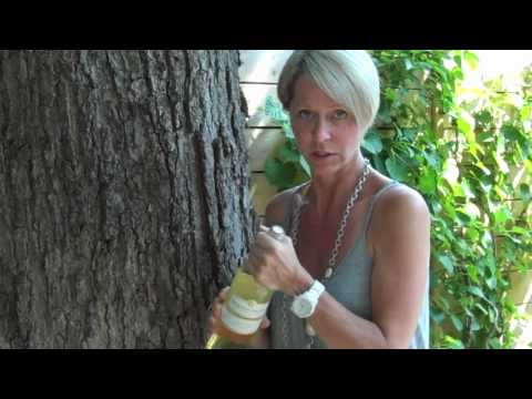 Running shoes are better than barefoot... sometimes