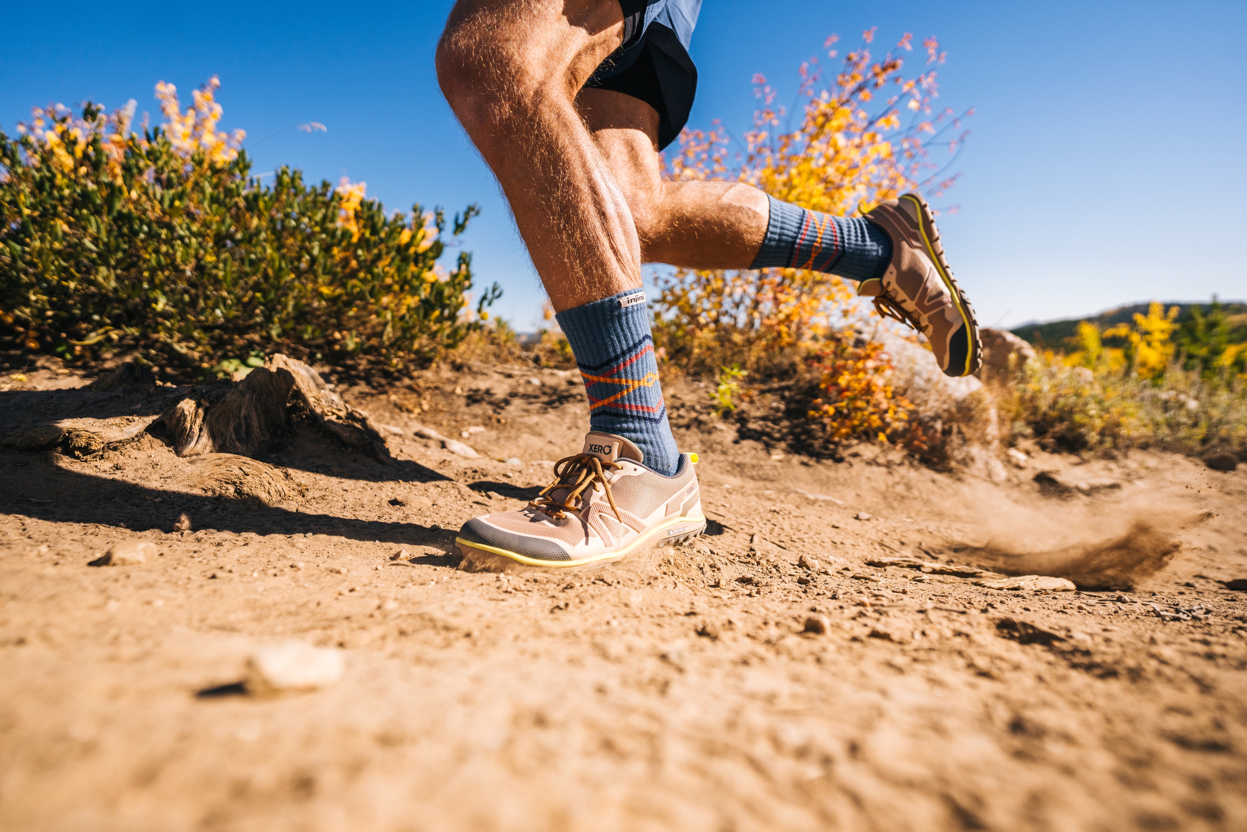 eliud kipchoge training shoes