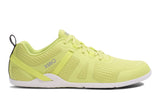 Sunny Lime