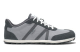 Alloy / Steel Gray
