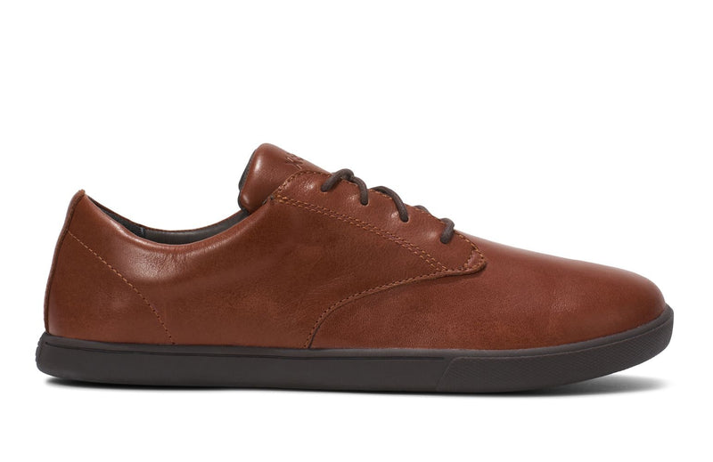  ゼロシューズ グレン26.0 XEROSHOES ゼロシューズ グレン26.0 Glenn - Men - Xero Shoes