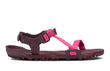 Fuchsia Purple