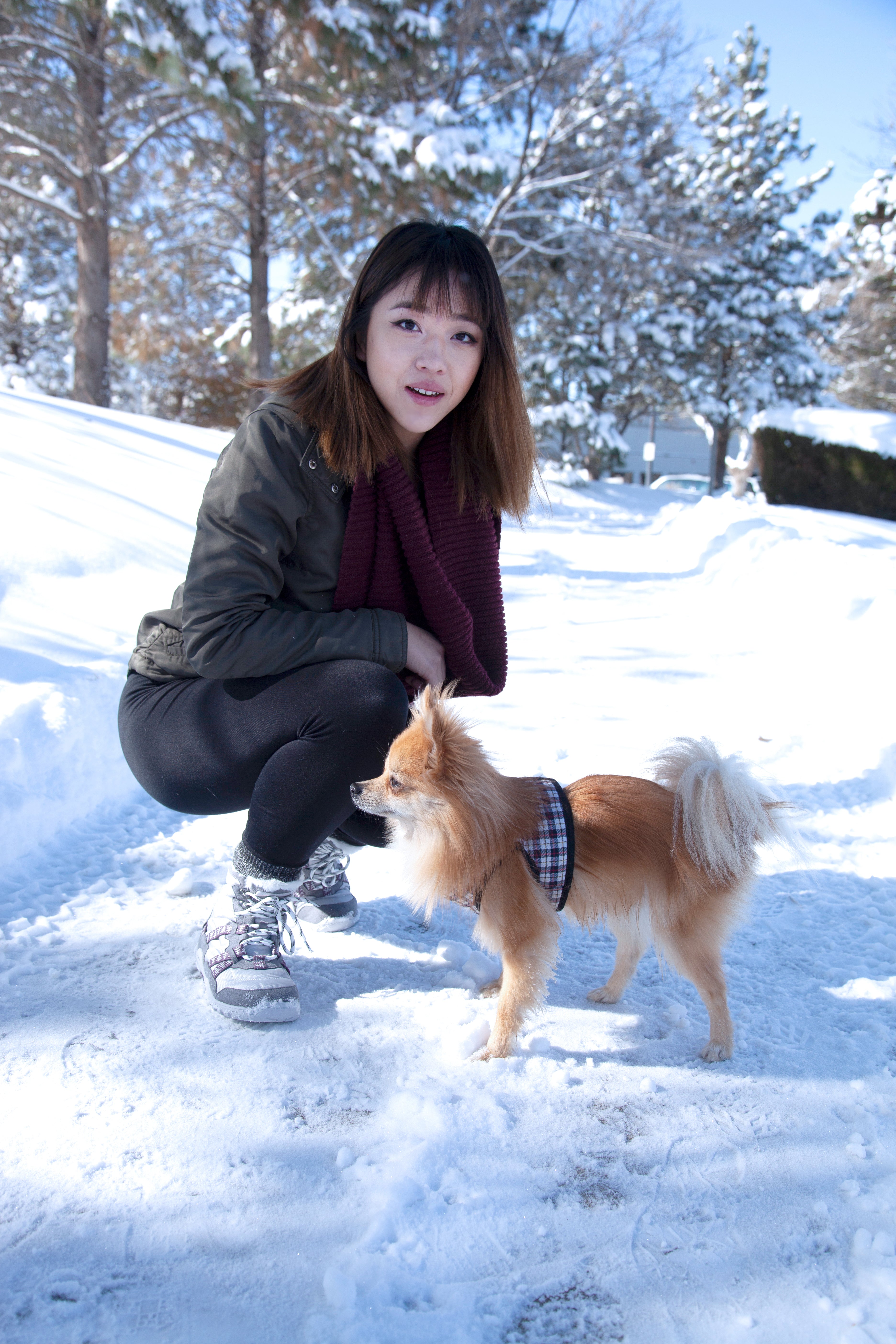 AEW-FRS_Alpine-Frost_LS_0002