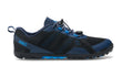 Insignia Blue / Azure Blue