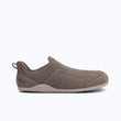 Morel