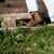 Xero Shoes