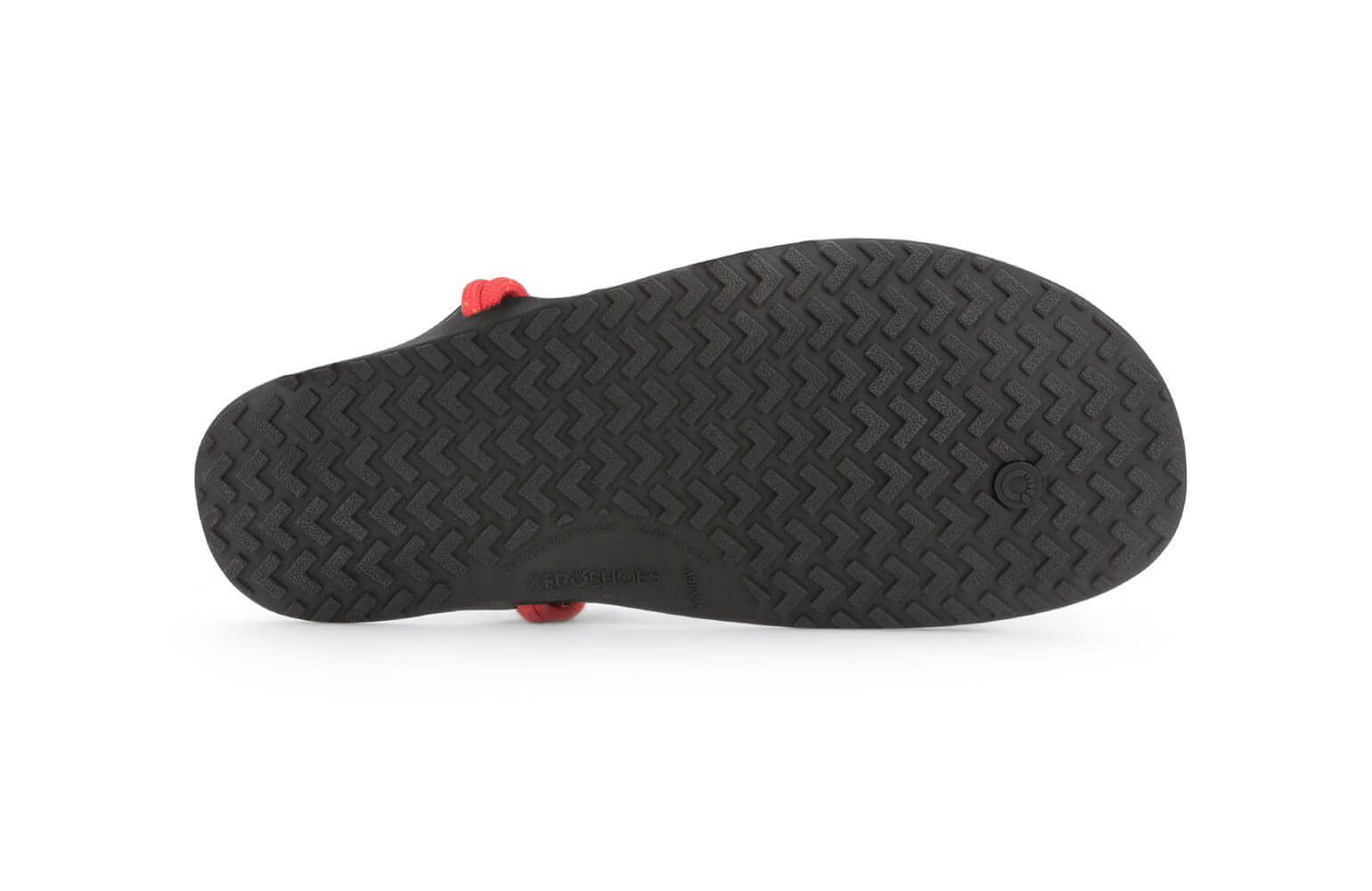 Genesis Sandal - Men (Clearance) - Xero Shoes display picture 2