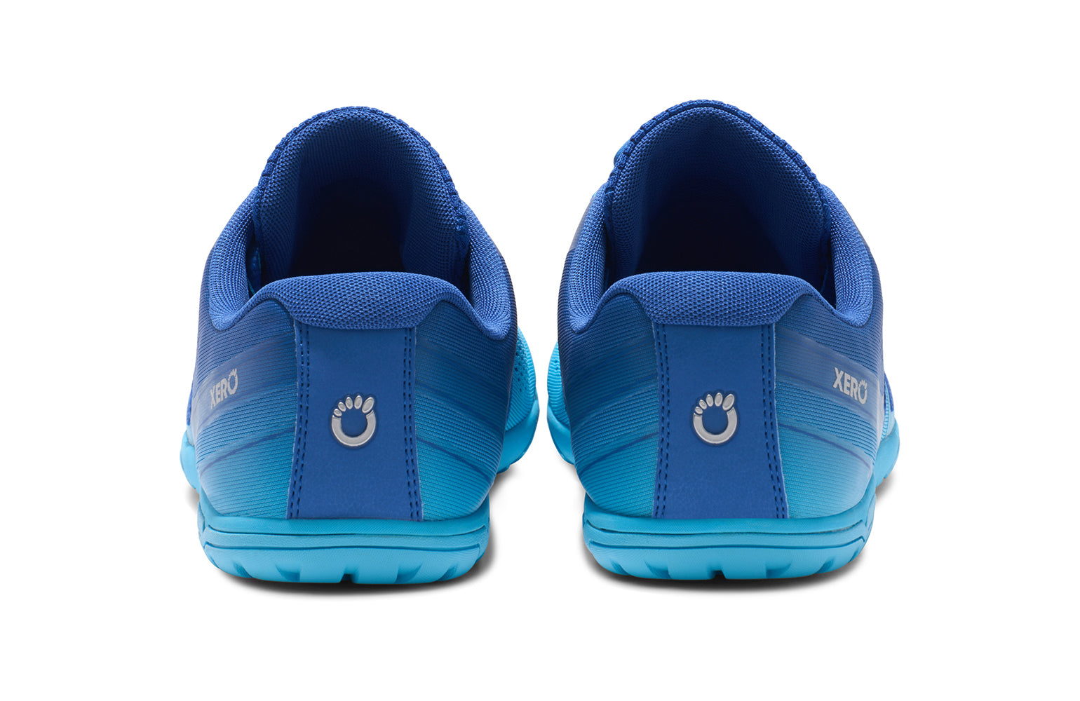 HSM-IOQI_HFS-II_Blue-Iolite-Aquarius-Gradient_Back-Pair_2056_WEB