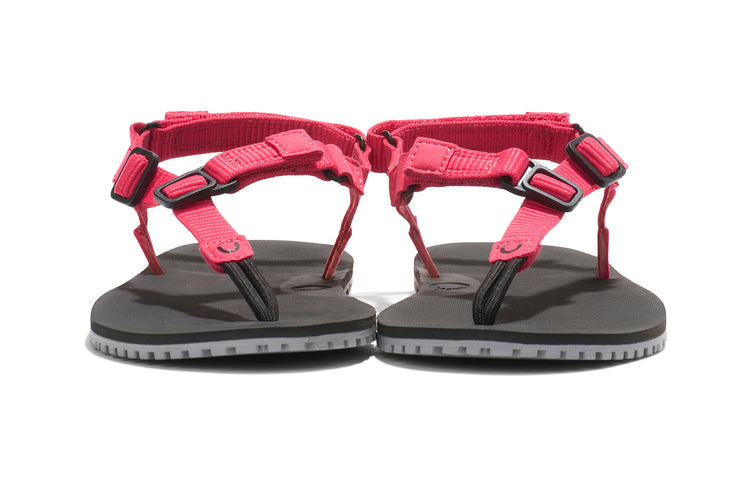 HTW-RASP_H-Trail_Raspberry_Front-Pair_4119_WEB