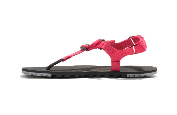 HTW-RASP_H-Trail_Raspberry_Left-Side_3092_WEB