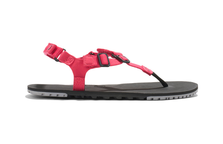 H-Trail - Women (Clearance)