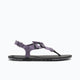 Sage Purple