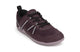 Fig / Elderberry