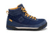 Insignia Blue