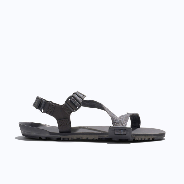 Xero Shoes Z-Trail EV - Men Sandal in Dark Grey with Toe Facing Right