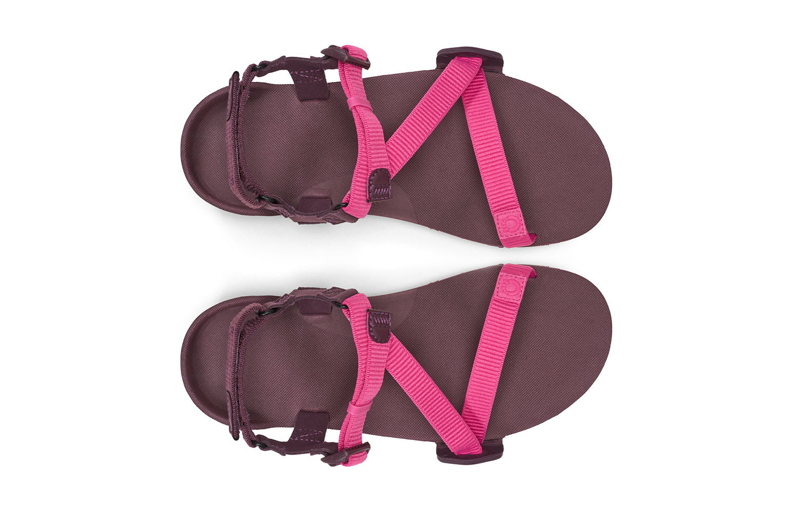 Z-Trail EV - Women - Xero Shoes