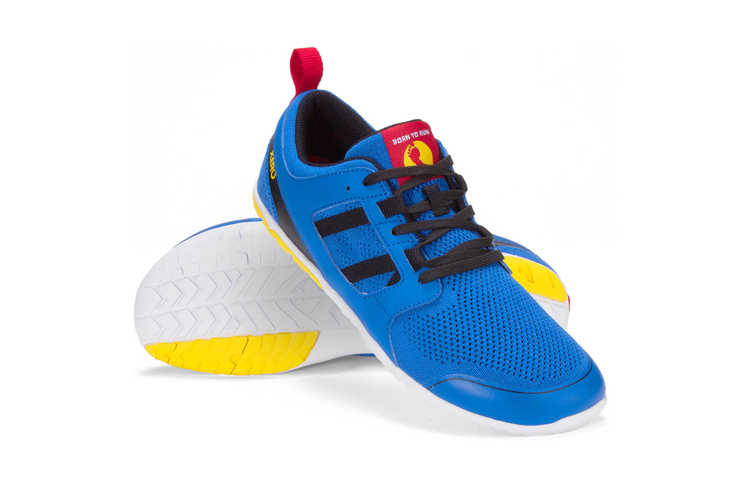 ZLW-BTRB_Zelen_BTR-Blue_Pair1_1557_WEB