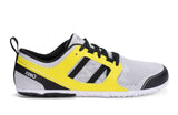Gray / Sulphur