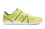 Sunny Lime / Evening Blue