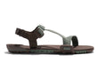 Dark Forest / Java Brown