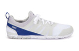 White / Sodalite Blue