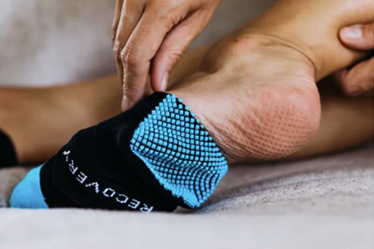 ankle