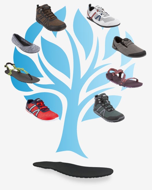 Tree illustration with Xero Shoes products