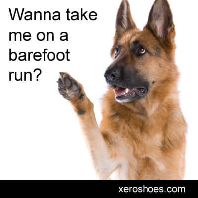 Take your dog for a barefoot run