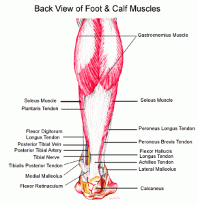 pain in achilles and calf