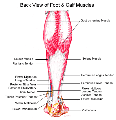 Does barefoot running cause calf pain? Achilles pain? Find the