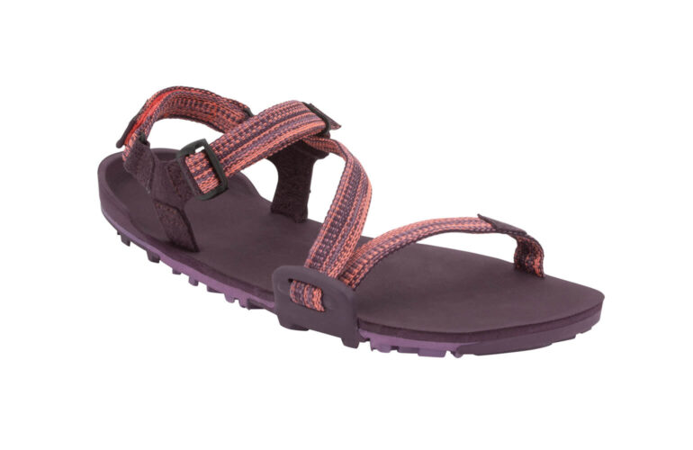 Xero shoes Z-Trek Sandals Brown