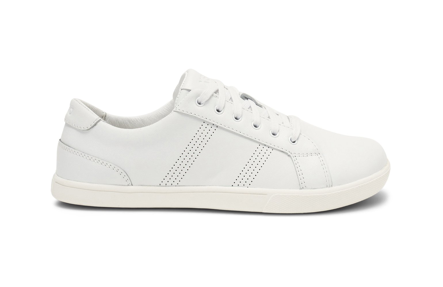 Shoe Image