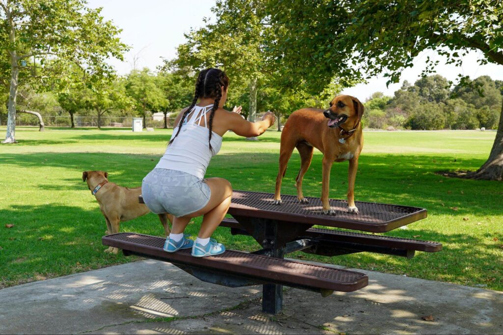 Women squatting on park table with her dog wearing blue xeroshoes prios