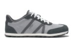 Alloy / Steel Gray