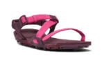 Fuchsia Purple